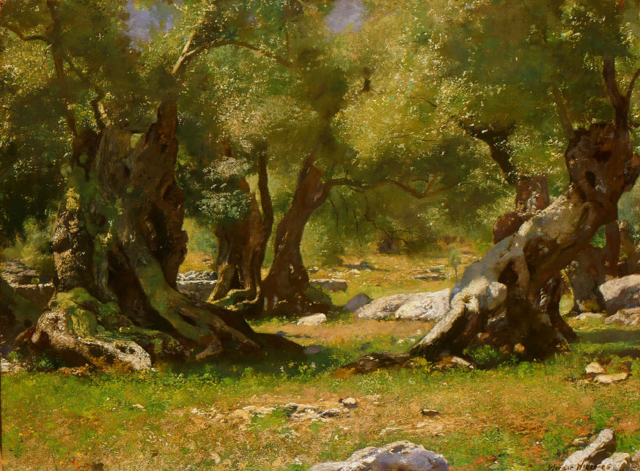 Werner Weber: Alte Olivenbäume (Mallorca), 1926, 46/61, Oel [241]