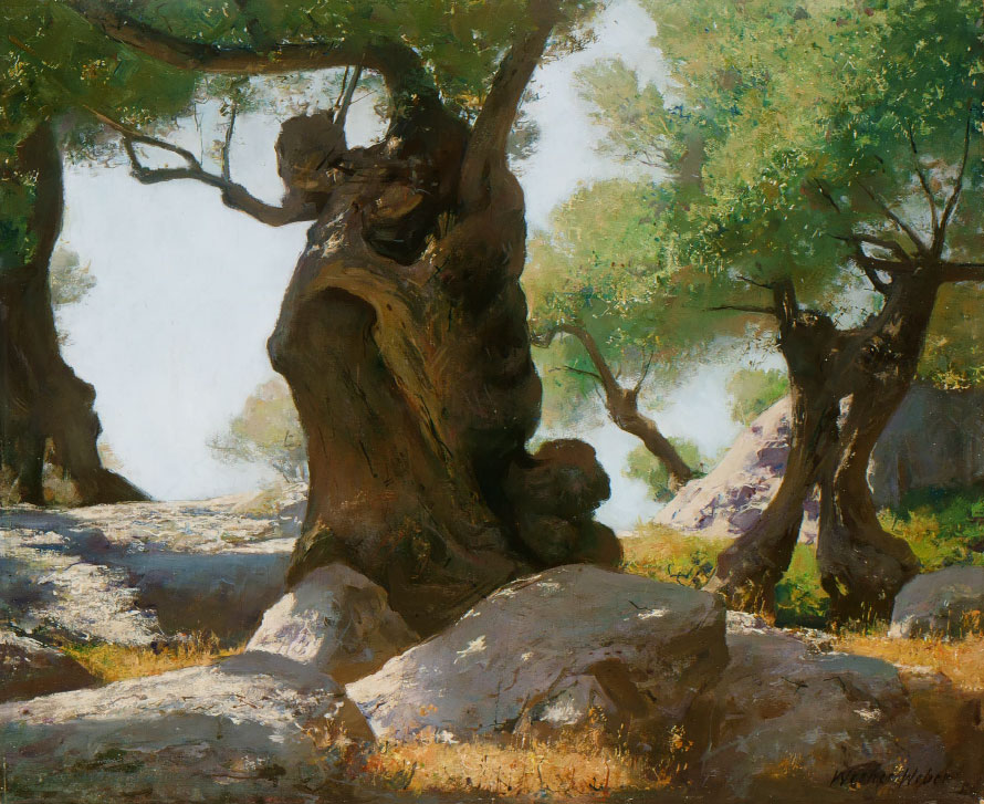 Werner Weber: Olivenbäume auf Mallorca, o. J., 50/61, Oel [276]